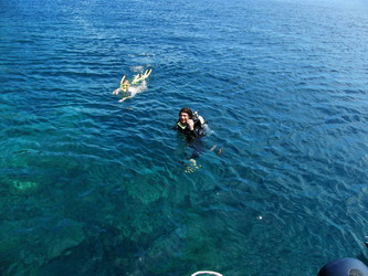 diving surin