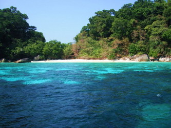 ko kam corals